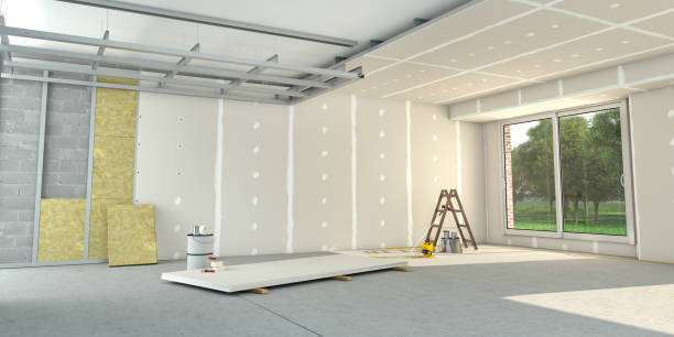 Best Cellulose Insulation  in Port Sulphur, LA