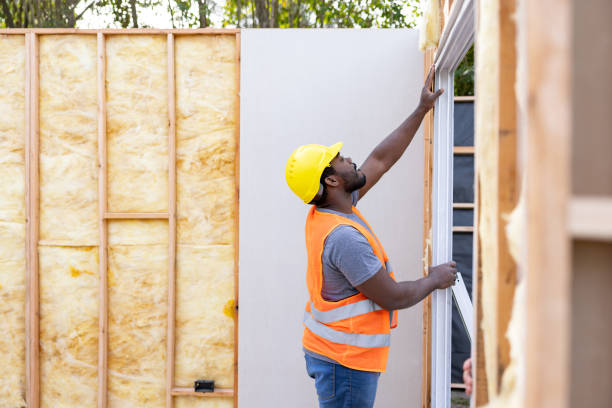 Best Insulation for New Construction  in Port Sulphur, LA